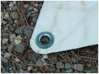 cliquer pour agrandir