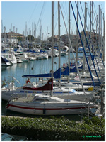 cliquer pour agrandir