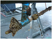 cliquer pour agrandir