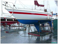 cliquer pour agrandir