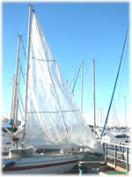 cliquer pour agrandir