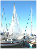 cliquer pour agrandir