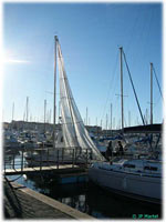 cliquer pour agrandir