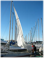 cliquer pour agrandir