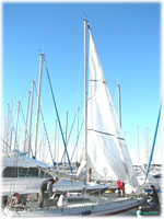 cliquer pour agrandir