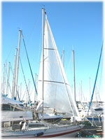 cliquer pour agrandir