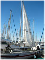 cliquer pour agrandir