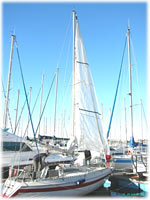 cliquer pour agrandir