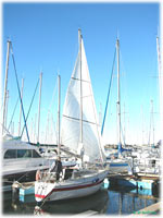 cliquer pour agrandir