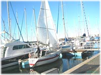 cliquer pour agrandir