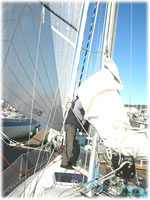 cliquer pour agrandir