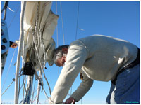 cliquer pour agrandir