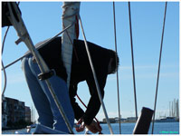 cliquer pour agrandir