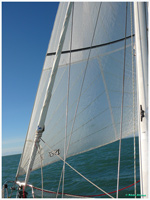 cliquer pour agrandir