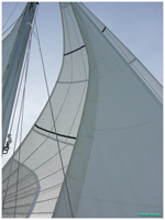 cliquer pour agrandir