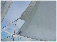 cliquer pour agrandir