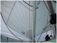 cliquer pour agrandir