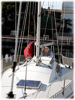 cliquer pour agrandir