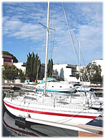 cliquer pour agrandir