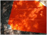 cliquer pour agrandir